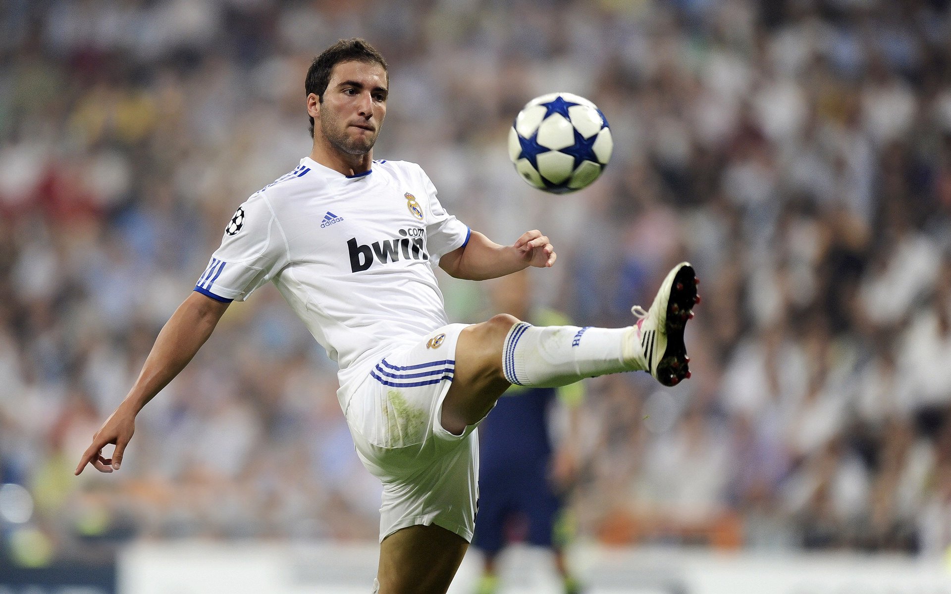 广东王朝时代的结束意味着新赛季的重新洗牌，广东有王朝吗