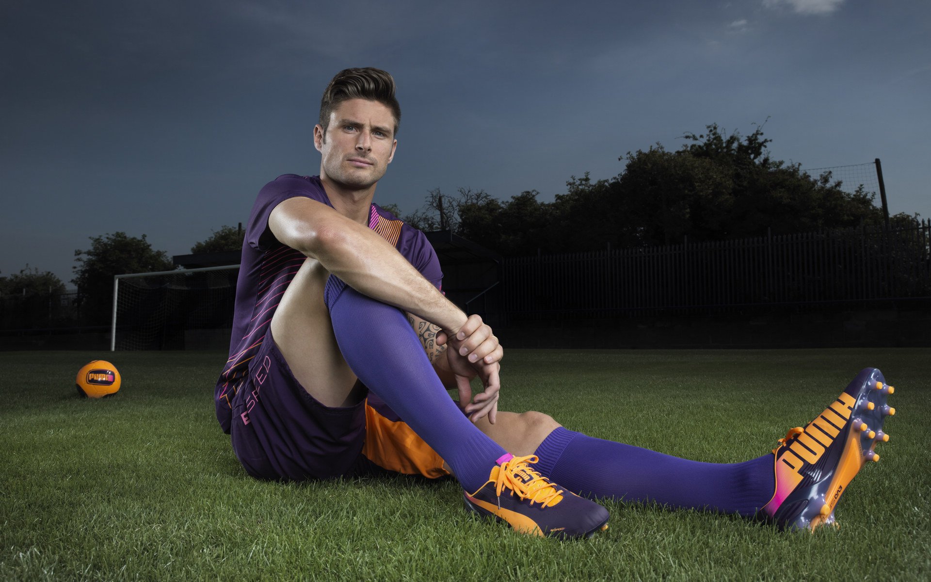 辽宁飞豹在攻守平衡上取得显著进步,辽宁飞豹主场位置