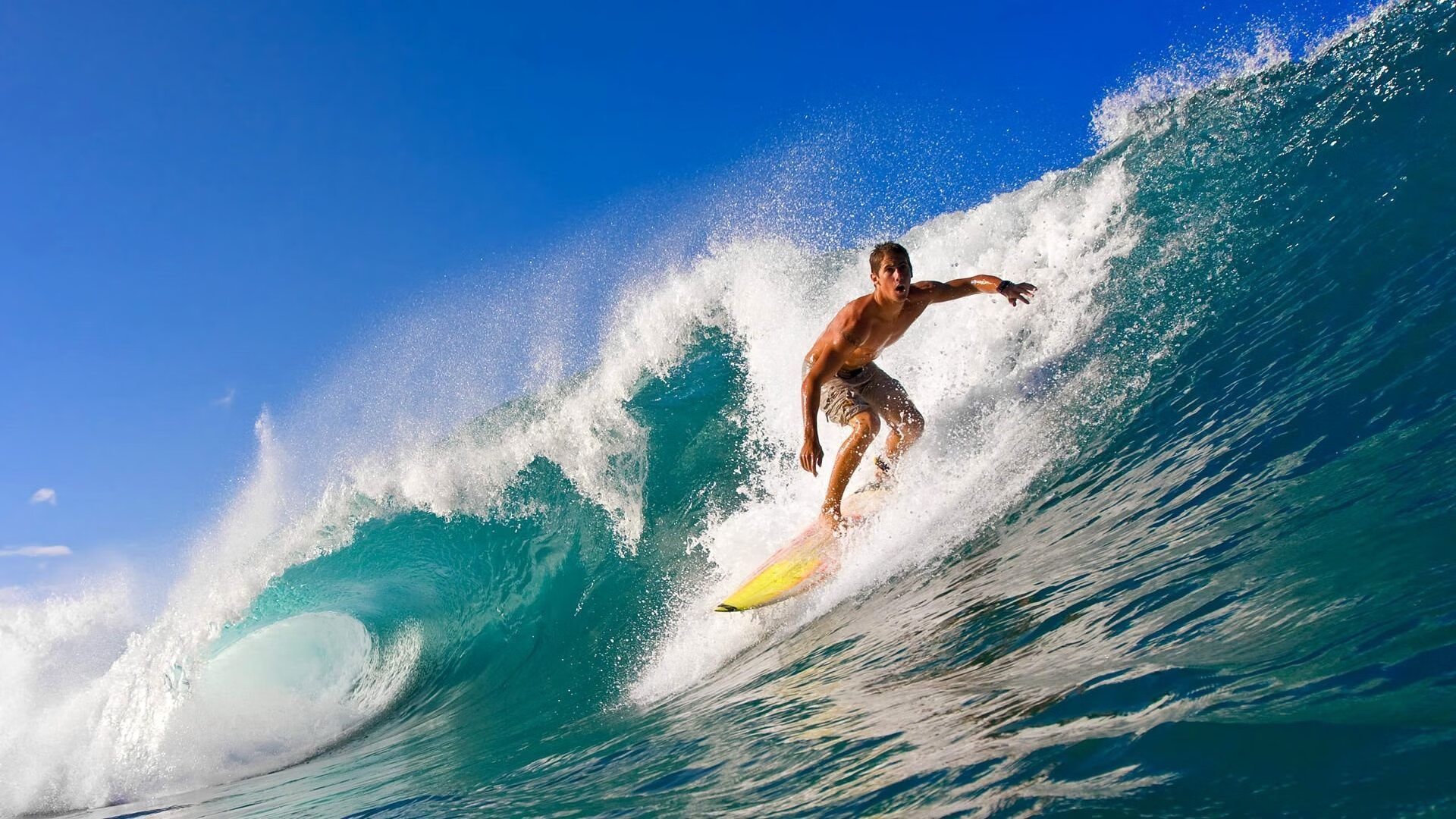 季票球迷为保护女孩在火车上被捅至重伤，森林老板负担费用，火车上的女孩